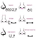 piercing-do-nosu.jpg