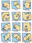 piercing-v-genitaliich.jpg